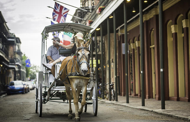 French Quarter Carriage Tour