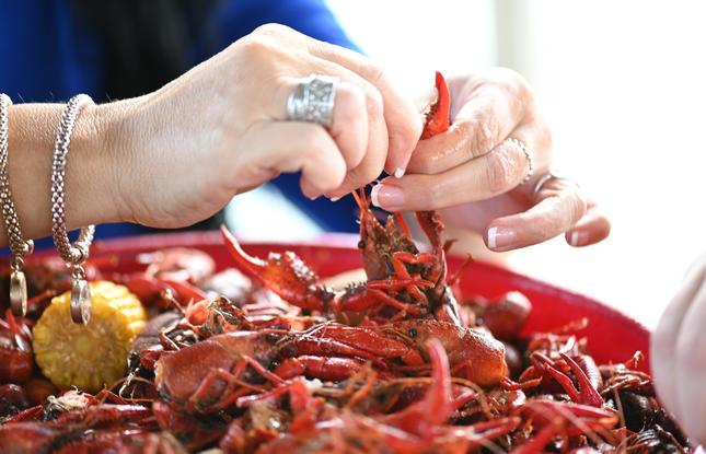 Two hands peeling boiled crawfish.