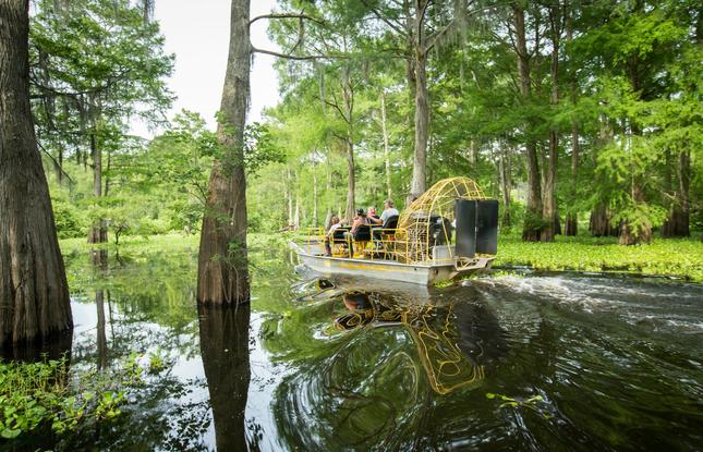 Airboat Swamp Tour