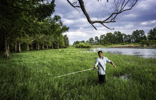 Man holding a fly-fishing pole and standing in marsh grasses on the banks of a river in Toledo Bend State Park in Louisiana.