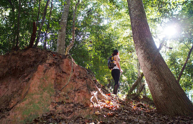 Hiking in Tunica Hills Wildlife Management Area louisiana