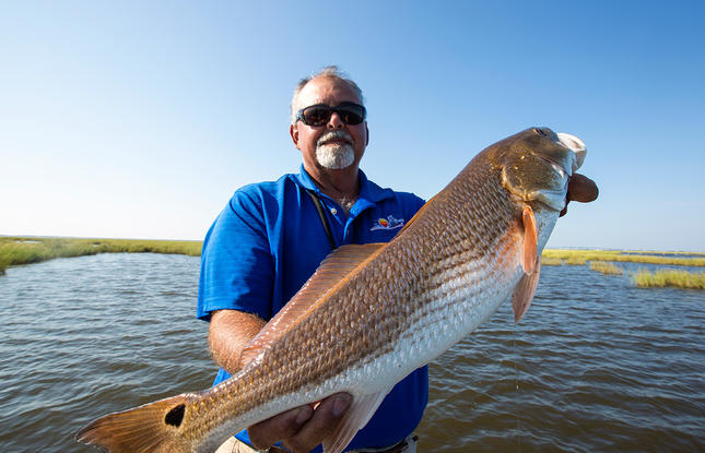 Man holding a large fish with waters and swamp grasses behind him.