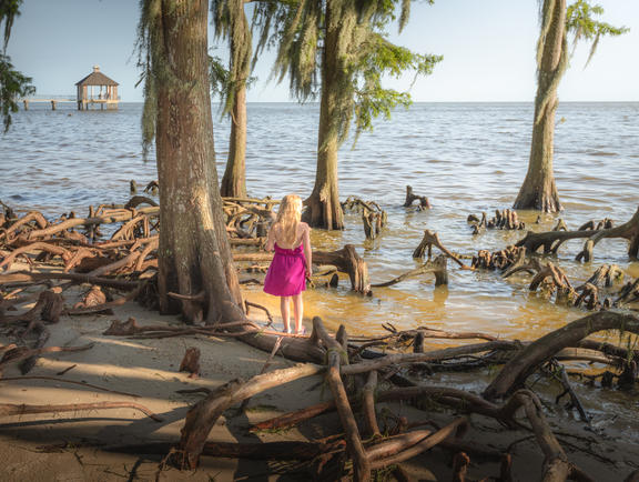 Fontainebleau State Park, Mandeville, Louisiana
