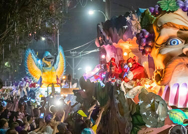 mardi gras in new orleans - hero