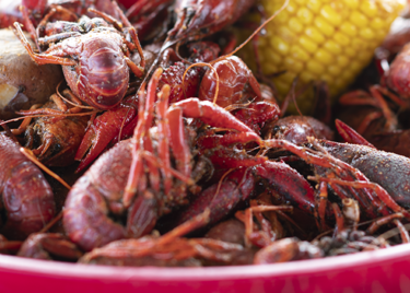 Crawfish Haven/Mrs. Rose’s Bed and Breakfast