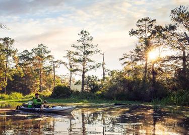 A kayaker floats through a bayou in autumn.
