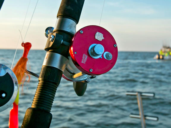Saltwater Fishing in Louisiana