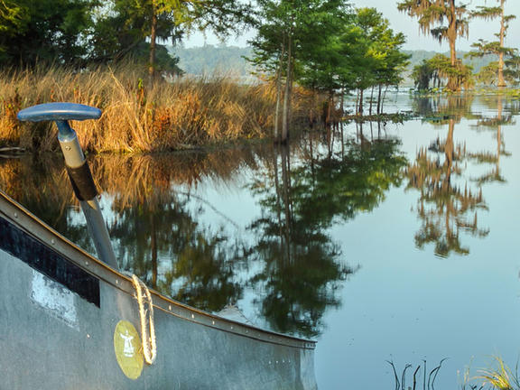 Louisiana Paddle Trails