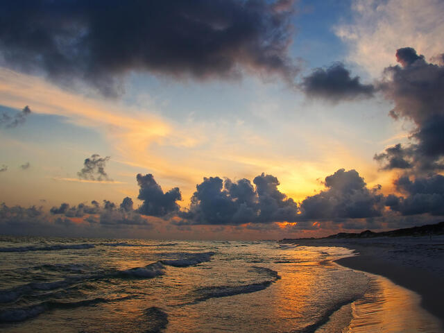 Golden Gulf Beaches  www.BrendaLafleur.com