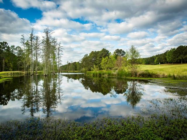 Cypress Bend Resort: Golf, Spa & Conference Center Photo 5