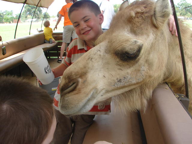 Your adventure starts here! Come run wild with us at Gone Wild Safari! Photo