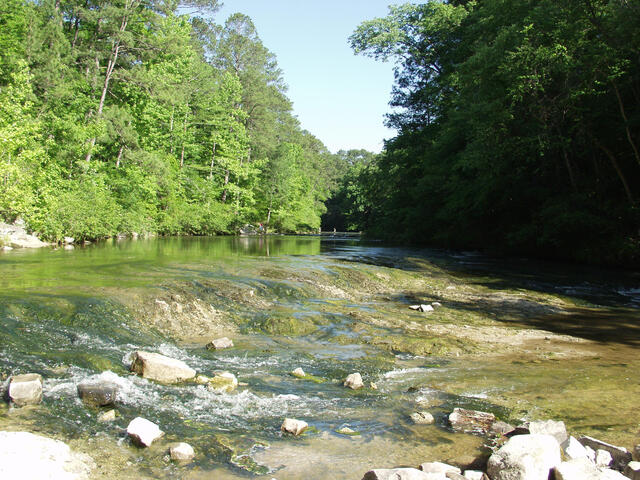 Kisatchie Bayou on the Kisatchie District