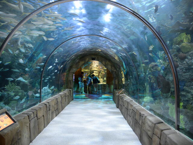 Wonder Here, at the Maya Reef Tunnel