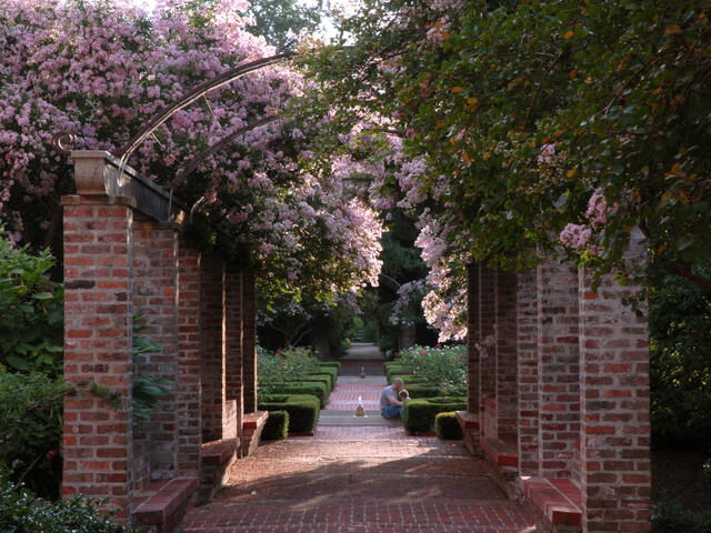 New Orleans City Park Photo 2