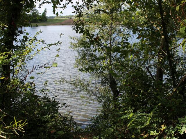 Red River National Wildlife Refuge Photo 4