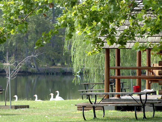 Tangipahoa Parish Campgrounds