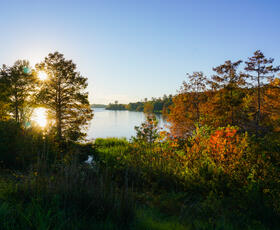 Caney Lakes in the Kisatchie National Forest. Credit: Webster Parish CVC