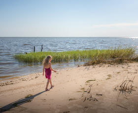 Beach at Fontainebleau State Park