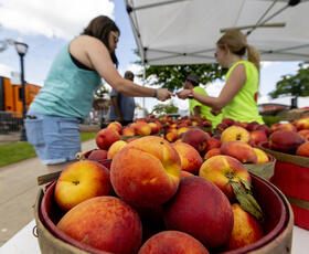 Louisiana Peach Festival Ruston