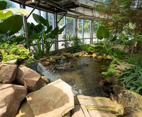 An indoor exhibit featuring a small pond surrounded by shrubbery at Shreveport Aquarium.