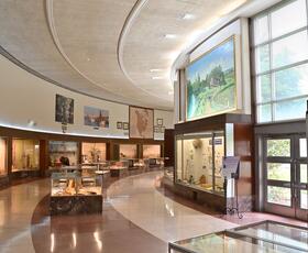 The interior of the Louisiana State Exhibit Museum features several glass cases filled with artifacts.