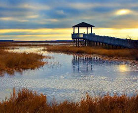 Creole Nature Trail