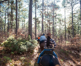 Kisatchie National Forest horseback riding