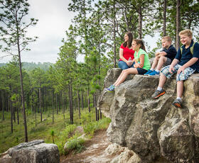 Kisatchie National Forest