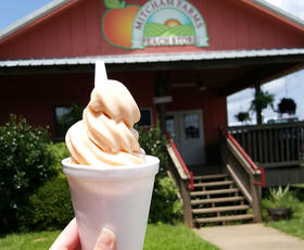 Peach soft-serve ice cream at Micham Farms Peach Store.