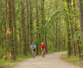 Ride the Tammany Trace Bike Trail