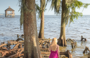 Fontaine Bleau State Park