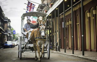French Quarter Carriage Tour