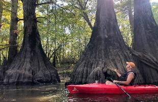 webster feature kayak