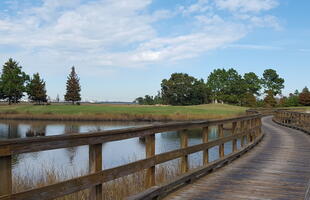 Gray Plantation Hole 6