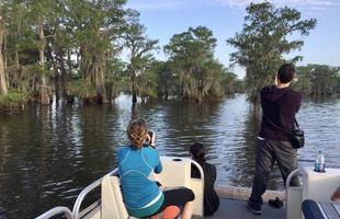 A family on a Louisiana swamp tour snaps photos of the giant cypress trees and calm water during their tour.