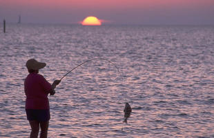 Sunset Surf Fishing