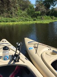 Kayaks with Fishing pole in louisina